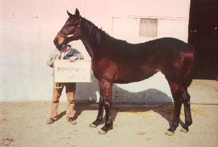 õ������ ����