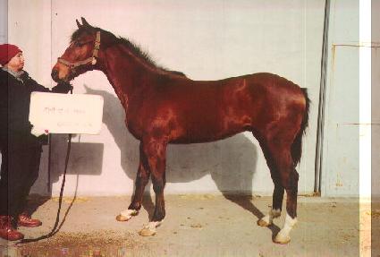 ���׺� ����