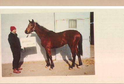 �ÿ��ϰ� ����