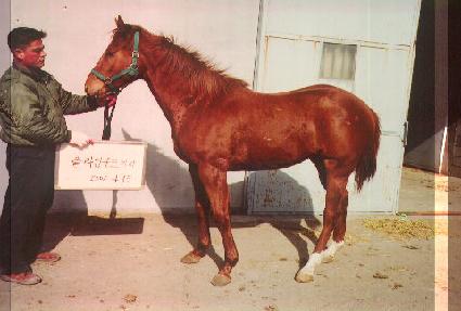 �۶��̵��� ����