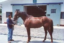 �ص�õ�� (HAEDONG CHEONHA) ����