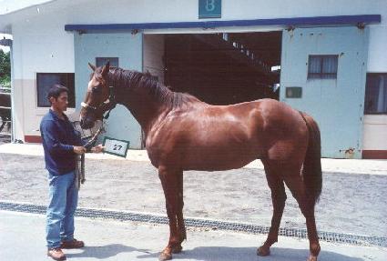 �ص�õ�� ����