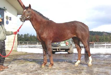 ��� ����