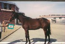 ����Ÿ�� (BOOP TIME) ����