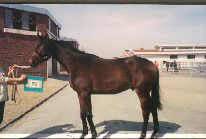 ����Ÿ�� ����