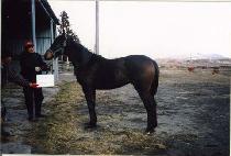 �츮���� (URI SEDAE) ����