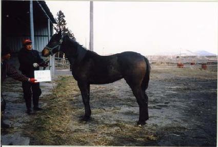 �츮���� ����