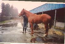 �����÷��� (FINE PLAY) ����