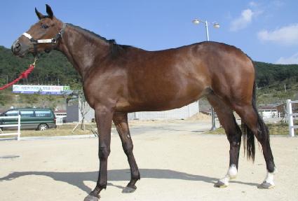 �������� ����