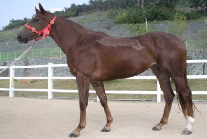 ��â���� ����