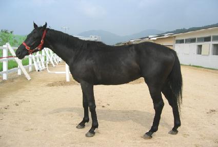 �ε�� ����