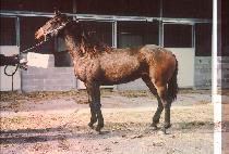 û�عٴ� (CHEONGHAEBADA) ����