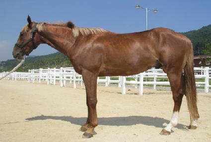 ����� ����