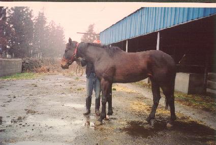 �׷��帶��ƾ ����