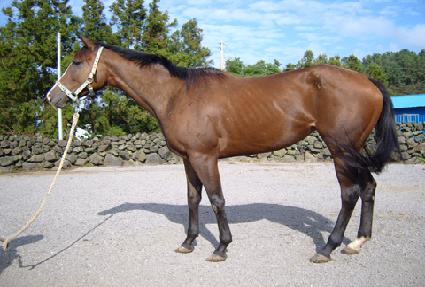 ȭ���Ѳ� ����