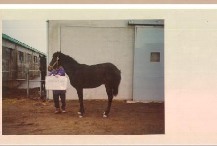 ���� ����