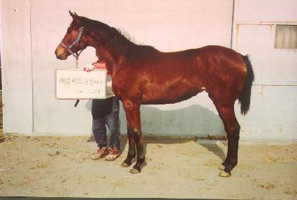 ž�� ����