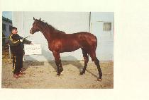 ũ�����ڸ� (CROWN ENCORE) ����