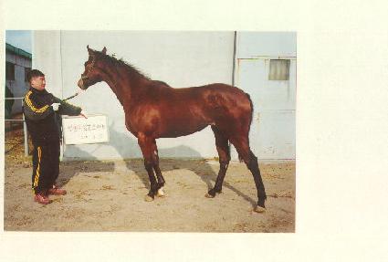 ũ�����ڸ� ����