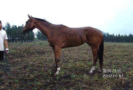 ���ؽź� ����