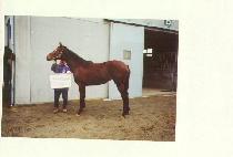 ���� (JEGOP) ����