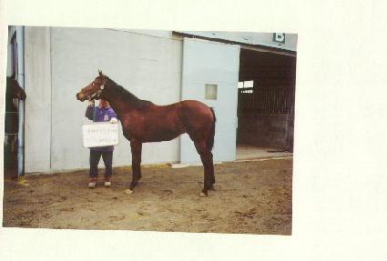 ���� ����