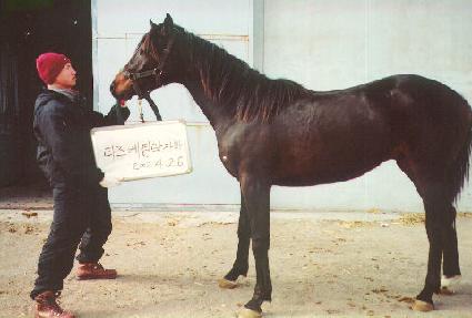 ����ĳ���� ����