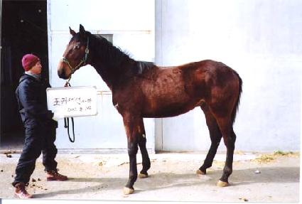 ����ǳ ����