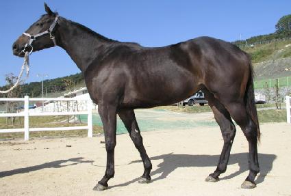 �̷����� ����