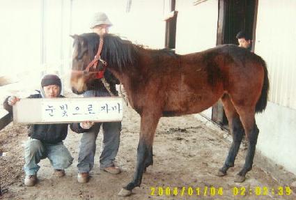 ���־��� ����