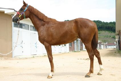 �Ҹ�� ����