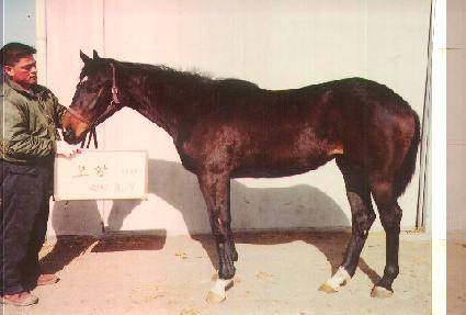 ��� ����