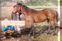 ������Ʈ�� (WELLBEING PARTNER) ����