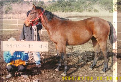 ������Ʈ�� ����