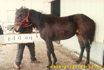 �������� (BELLEROPHON) ����