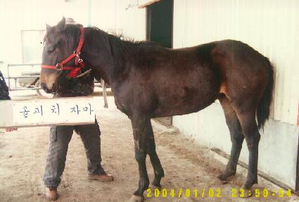 �������� ����