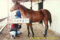 �������� (JOEUN SIJAK) ����