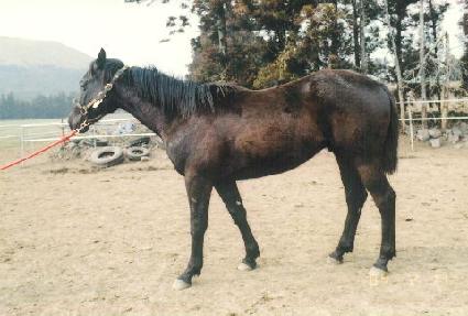 �������� ����