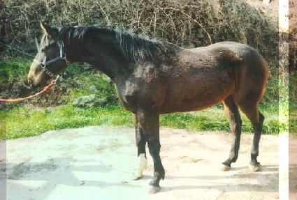 õ������ ����