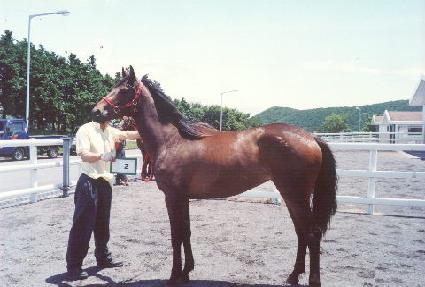 �ڿ� ����