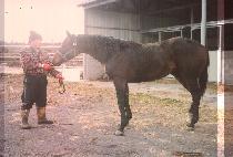 �Ҽ� (SOSO) ����