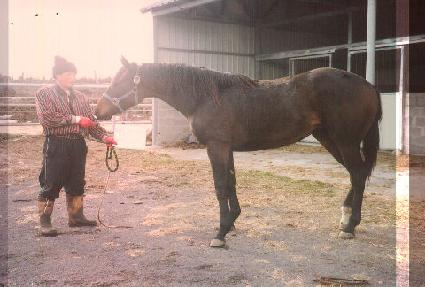 �Ҽ� ����