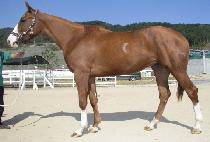 ������ (JEONTUHAM) ����