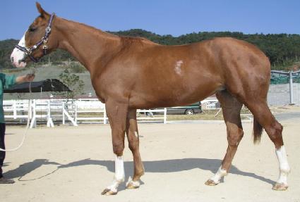 ������ ����