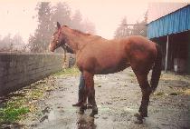 ������Դ��ڸ� ����