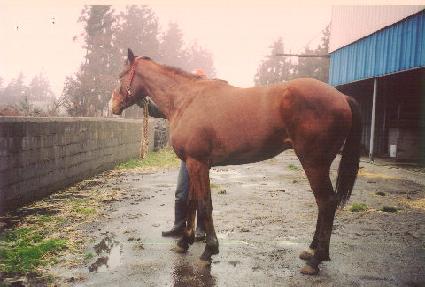 ������Դ��ڸ� ����