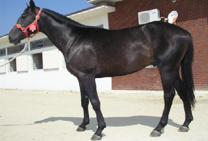 ȭ���ѺҲ� ����