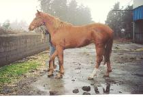 �ֶ󿡳��� (SOLAR ENERGY) ����