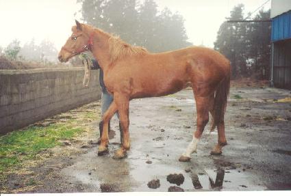 �ֶ󿡳��� ����