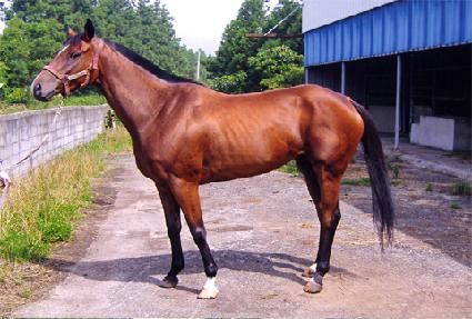 �Ϸպ��� ����